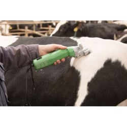 Tondeuse pour bovins et équins Constanta4 Kerbl