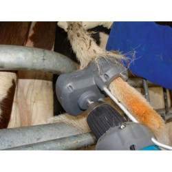Tondeuse pour queues de vaches Standard TailWell