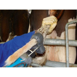 Tondeuse pour queues de vaches Standard TailWell
