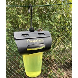 Piège à frelon asiatique VespaCatch - Lot de 50 pièges