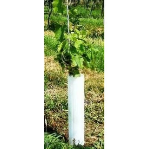 TUBEX Plantation - hauteur 40cm