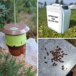 Piège Velutina Beevital hautement sélectif pour frelons asiatiques + 1 attractif OFFERT