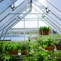 Serre de jardin Balance allongée Argent Canopia