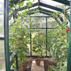 Serre de jardin Eco Grow Verte Canopia