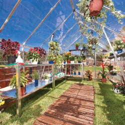 Serre de jardin Octave 9m² Argent Canopia