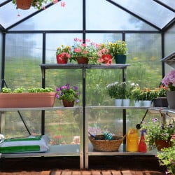 Serre de jardin Glory Grise Canopia