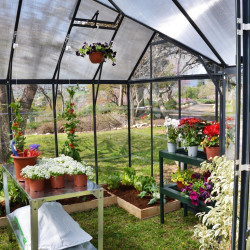 Chalet-serre de jardin Victory Orangerie 11.1m² Grise Canopia