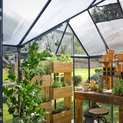 Chalet-serre de jardin Victory Orangerie 11.1m² Grise Canopia