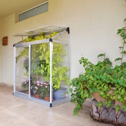 Serre de jardin adossée Lean To 0.8 m² Argent Canopia
