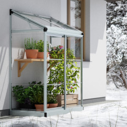 Serre de jardin adossée Lean To 0.8 m² Argent Canopia