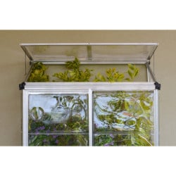 Serre de jardin adossée Lean To 0.8 m² Argent Canopia