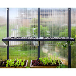 Kit d’étagères Canopia pour serre de jardin - motif feuilles (4 étagères)