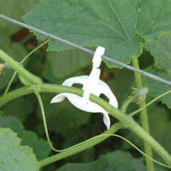 Kit de palissage Canopia pour serre de jardin