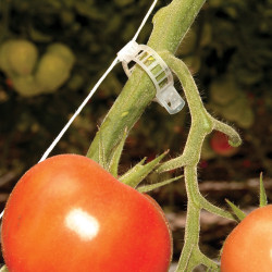 Kit de palissage Canopia pour serre de jardin