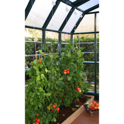 Kit de palissage Canopia pour serre de jardin