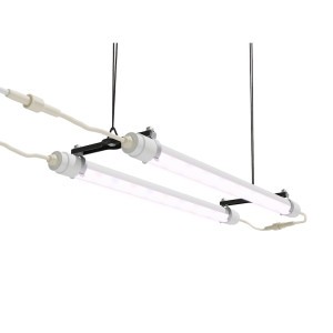 Lumière de croissance Brighton Led Canopia