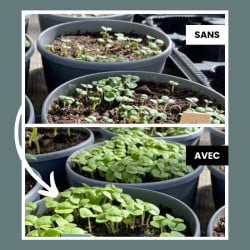 Biochar mycorhizé Trilis Terra fertilis - Granulométrie 2-4 mm, 5 et 10 kg