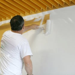 Peinture alimentaire à effet anti-salissure DEPRO SALISTOP DEPROMA, blanc, aérosol ou 5L