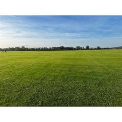 Rouleau de Gazon de Placage Naturel RollGazon France Agrément au m2