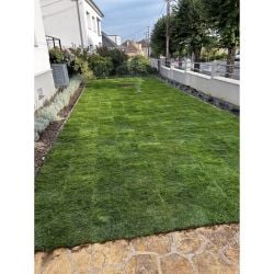 Rouleau de Gazon de Placage Naturel RollGazon France Agrément au m2