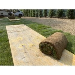 Rouleau de Gazon de Placage Naturel RollGazon France Agrément au m2
