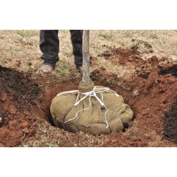 Kit d’ancrage de motte RBK N°2 Gripple, arbres de 2,5 m à 4,5 m