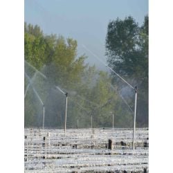 Arroseur laiton circulaire nu 14ATG Rolland, antigel, angle bas, rayon de 9 m
