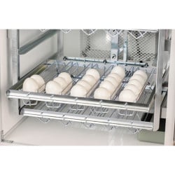 Couveuse automatique MG 100/150 B Family SH FIEM