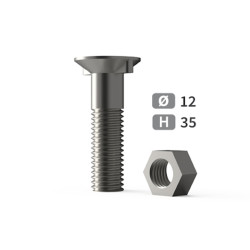 Boîte de 25 boulons à tête fraisée 2 ergots 35 mm,   Ø 12 mm