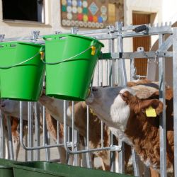 Séparateur Kerbl, pour mangeoires pour CalfHouse Premium X