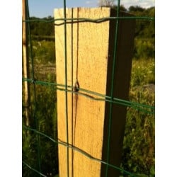 Crampillons Lisses Galvanisation Riche boite de 3 kg