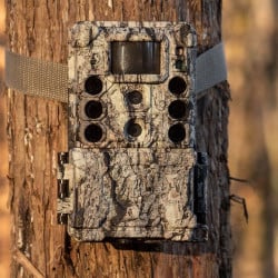 Piège photographique Caméra chasse Bushnell Core DS 4K No Glow