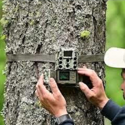 Piège photographique Caméra chasse Bushnell Core DS 4K No Glow