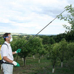 Lance téléscopique jusqu'à 2,40 m - Berthoud