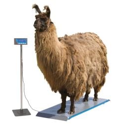 Balance plateforme complète animaux PS1000, graduation 200 gr, 500 kg