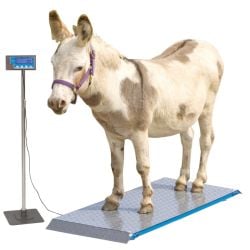 Balance plateforme complète animaux PS1000, graduation 200 gr, 500 kg