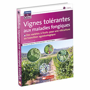 Vignes tolérantes aux maladies fongiques