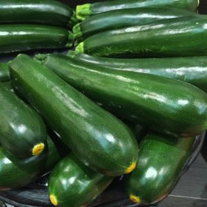 Courgette DIAMANT F1 - Non traité