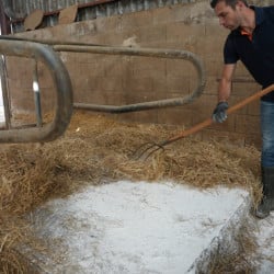 Chaux éteinte CL-90 palette 1050 kg - Agri Chaux