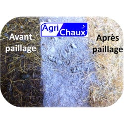 Pack Chaux éteinte CL-90 palette 1050 kg + Epandeur rotatif 100 L - Agri Chaux