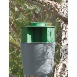 Piège cuve Procerex Chenille Processionnaire Pin/Chêne - Grande Capacité