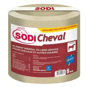 Blocs à Lécher SODICHEVAL (Calcium - Phosphore - Magnésium - Sodium)