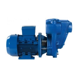 Pompe à engrais monophasée 450L/min - 1,5 kW - 240V Renson