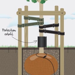 Protection de tronc contre rotofils - Hauteur 15 cm - Longueur 45 cm à l'unité - Toltex