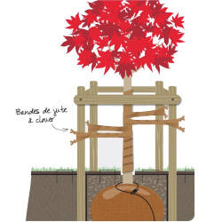 Bande de jute BIO à clouer, Largeur 5 cm - Rouleau 100 m - Toltex