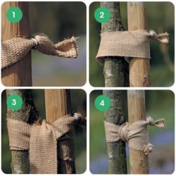 Bande de jute BIO à clouer, Largeur 5 cm - Rouleau 100 m - Toltex