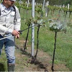 Répulsif olfactif et gustatif cervidés Trico - Bidon 10 Litres