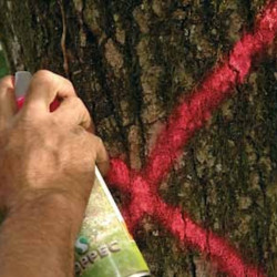 Bombe de peinture traceur forestier Fluo Marker 500 ml Soppec