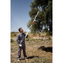 Scie arboricole télescopique 2 m à 6 m, 360-BH Kamikaze