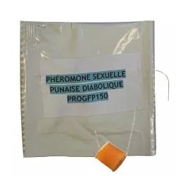 Sachet d'une capsule de phéromone sexuelle contre la punaise diabolique - Pour piège Diablex
